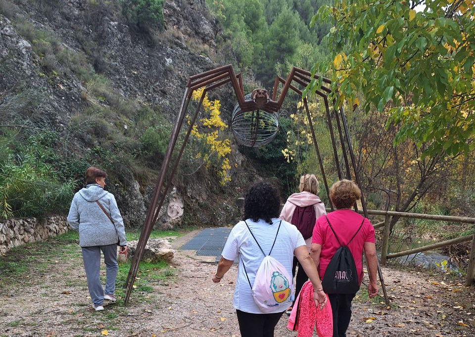 Jornadas de Bienestar para personas mayores