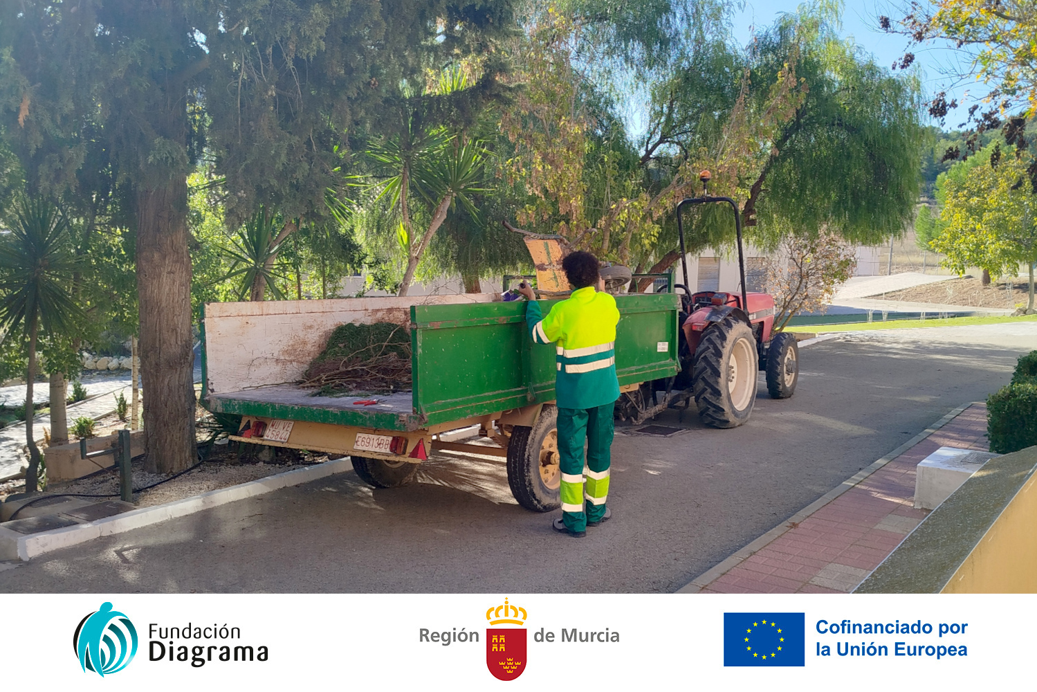 Programa Formativo Profesional de Actividades Auxiliares en Viveros y Jardines 