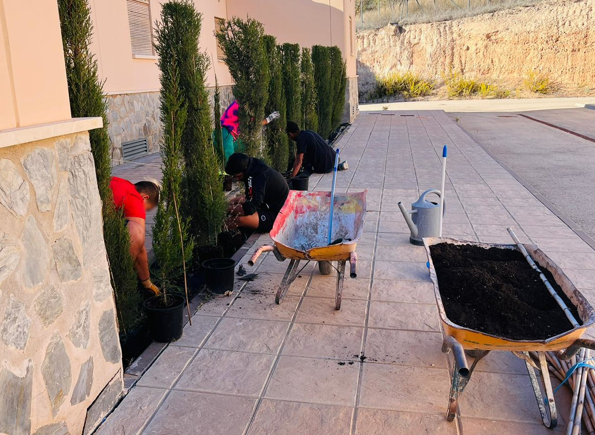 PFP de jardinería en La Zarza