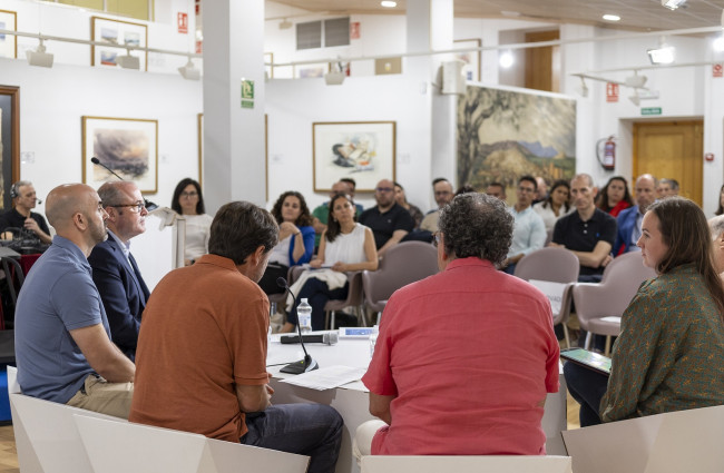 Mesa redonda de la Jornada ‘Transformación Digital y Tercer Sector de Acción Social: Superando Brechas Digitales’