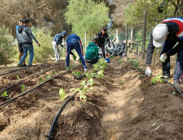 Los jóvenes practican técnicas de cultivo en una parcela