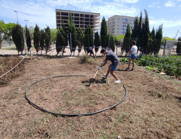 Los jóvenes terminan de limpiar el terreno