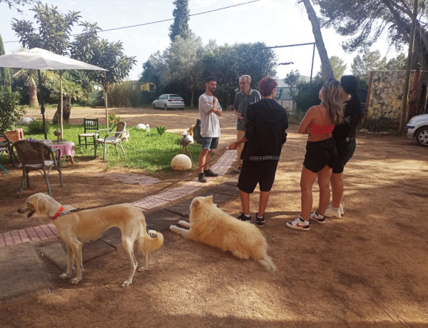 Los jóvenes junto a dos de los perros que cuidan