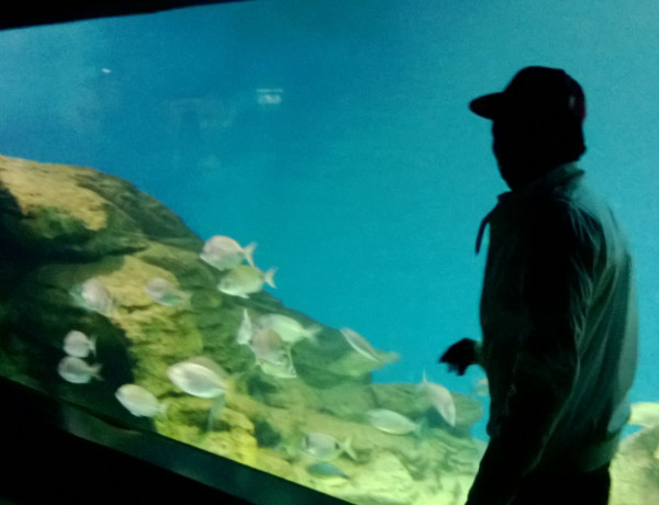 Los jóvenes acogidos en el hogar ‘El Acebo’ celebran el Día de los Museos en el Marítimo de Santander