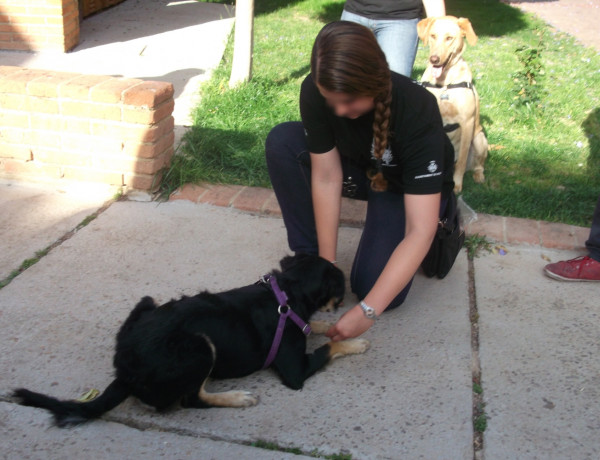 Taller de zooterapia para los menores del centro ‘Campanar’ de Valencia