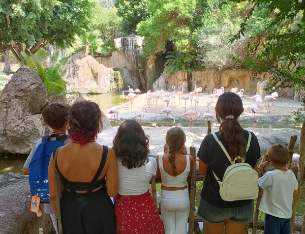 Varios chicos y chicas de Plana Baixa observan el estanque de los flamencos