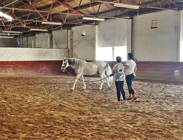 Una de las menores del centro aprende a conducir un caballo