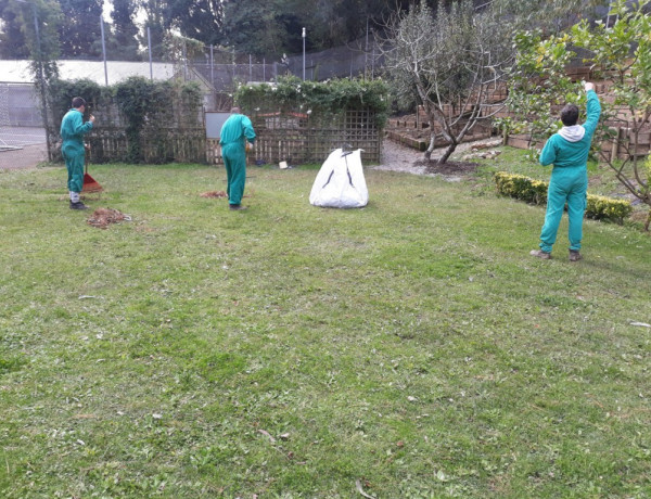 Jóvenes del Centro Socioeducativo Juvenil de Cantabria comienzan una Formación Profesional Básica de Ayudante Técnico en Parques, Viveros y Jardines. Fundación Diagrama. Cantabria 2018.
