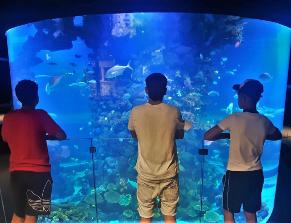 Menores del centro ‘Inagua’ en el Acuario Poema del Mar