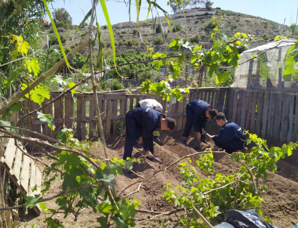 Jóvenes atendidos en el centro ‘Ciudad de Melilla’ aprenden a cultivar la tierra con métodos ecológicos