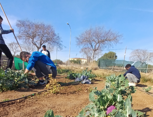 Jóvenes del hogar de acogida ‘Manuela Solís Clarás’ aprenden a realizar labores de horticultura en un huerto urbano de Vinarós