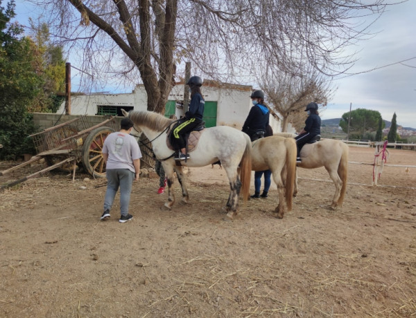 Las personas jóvenes atendidas en la residencia ‘Baix Maestrat’ de Vinarós (Castellón) se introducen a la equitación