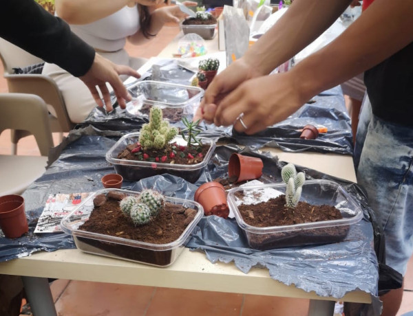 Jóvenes creando pequeños terrarios con cáctus y elementos decorativos