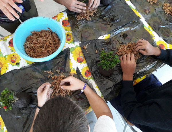 Taller de kokedama realizado en el centro 'Odiel' de Huelva. Fundación Diagrama.