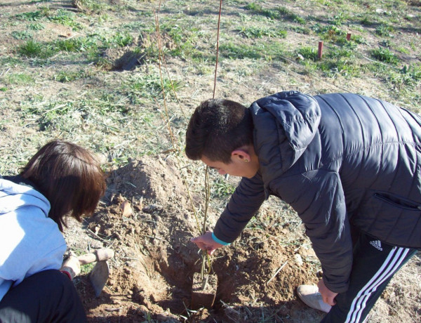 Los menores del centro ‘Pi i Margall’ de Burjassot (Valencia) colaboran en una actividad de voluntariado medioambiental en el río Turia. Fundación Diagrama. Comunidad Valenciana 2019.