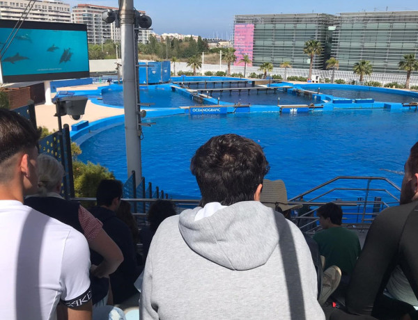 Tres jóvenes observan el espectáculo de delfines