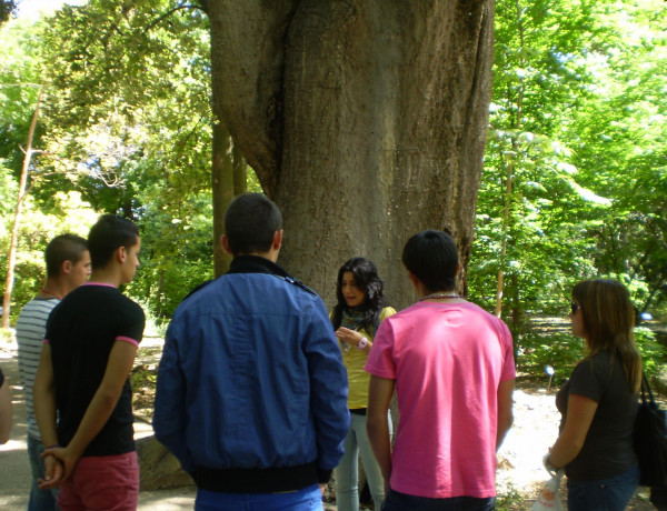 Menores del Curso de Jardinería del Centro 'La Villa' de Villena (Alicante), visitan el Jardín Botánico de Valencia