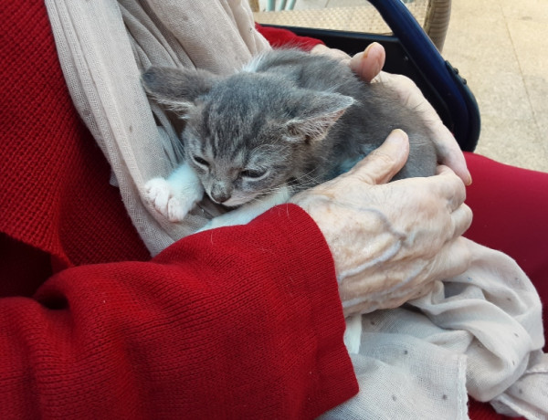 Las personas atendidas en la residencia ‘Nuevo Azahar’ de Archena (Murcia) celebran el Día Mundial de los Animales