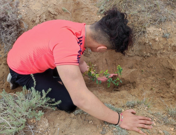 Un joven de La Atalaya finaliza la plantación de un fresno