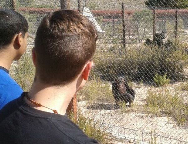 Los menores del centro ‘La Villa’ visitan las instalaciones del centro de rescate de animales exóticos de Villena (Alicante)