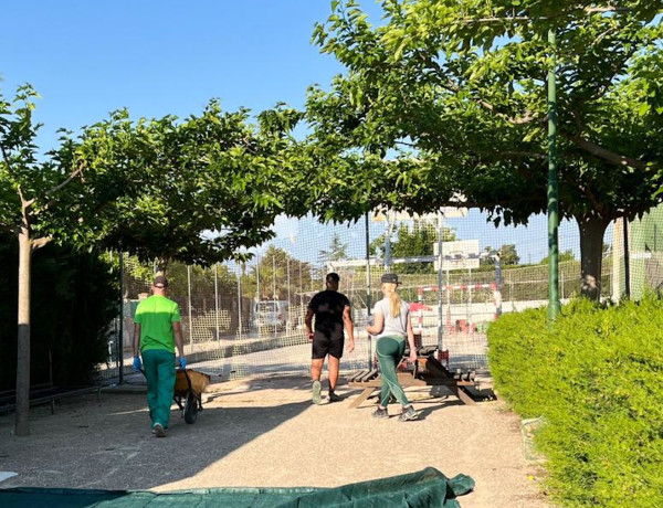 Personas usuarias del centro juvenil 'La Zarza' en el Programa de Formación Básica Adaptada en Jardines y Viveros