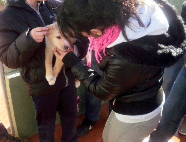 Los menores del centro ‘Sant Sebastià’ de Vinaròs visitan empresas y asociaciones de voluntariado como parte de su programa de inserción sociolaboral