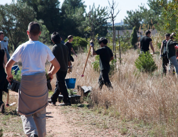 El Ayuntamiento de Castellón de la Plana y jóvenes de Fundación Diagrama reforestan el Desert de Les Palmes