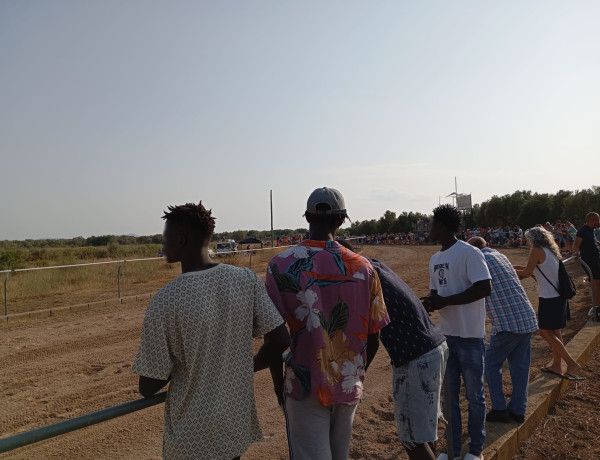 JÓVENES DE SPAI ULLALS CARRERA DE CABALLOS EN LA SÈNIA