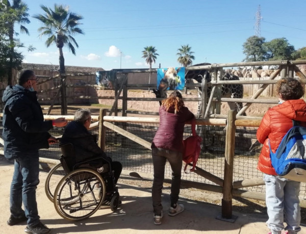 Cuatro personas del centro observan una jirafa en cautividad