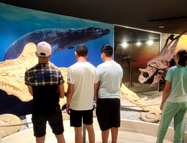 visita guiada al Museo Paleontológico de Elche