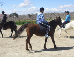 Los menores del centro ‘La Zarza’ de Abanilla (Murcia) participan en una actividad de zooterapia con caballos