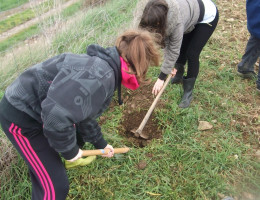 Los menores de la residencia ‘Iregua’ de Logroño participan en una campaña de replantación forestal