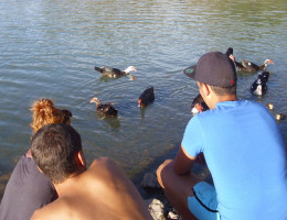 Los menores del centro ‘Garoé’ de Gran Canaria participan en una actividad de convivencia en la naturaleza