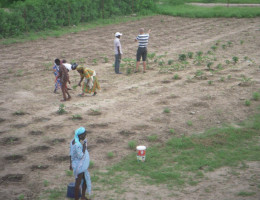 Clase de agricultura Sandiara