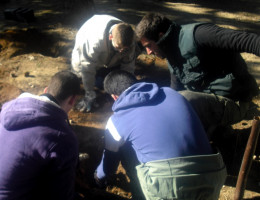 Los menores de los centros ‘Pi i Margall’, ‘Pi Gros’ y ‘Mariano Ribera’ participan en la reforestación de Alborache (Valencia)