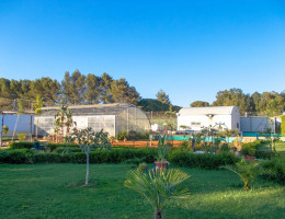 Un grupo de jóvenes del centro ‘Los Alcores’ en Carmona (Sevilla) finalizan su formación en jardinería en la Casa de Oficio