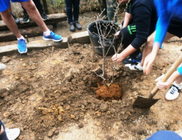 Los jóvenes del Centro Socioeducativo Juvenil de Cantabria celebran el Día del Árbol con diversas actividades medioambientales