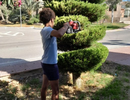 Un joven de La Zarza poda un árbol como práctica de su PFP