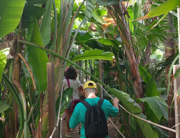 Niños y niñas recorren uno de los senderos del parque