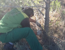 Los menores del centro ‘La Zarza’ de Abanilla (Murcia) participan en una actividad de voluntariado medioambiental