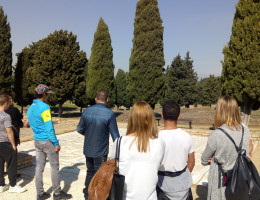 Visita a Santiponce. Centro 'La Jara', 'Los Alcores', 'Odiel' y 'Medina Azahara'. Andalucía. Fundación Diagrama.