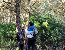 Dos menores de 'Torrent II' ayudan al técnico forestal a revisar una caja-nido