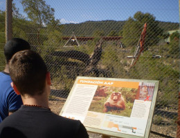 Los menores del centro ‘La Villa’ visitan las instalaciones del centro de rescate de animales exóticos de Villena (Alicante)