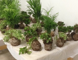 Taller de kokedama realizado en el centro 'Odiel' de Huelva. Fundación Diagrama.