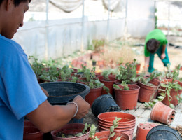 Una treintena de jóvenes atendidos en los centros ‘Las Moreras’ y ‘La Zarza’ finalizan con éxito su formación en los sectores de la construcción y la jardinería. Fundación Diagrama. Murcia 2020.