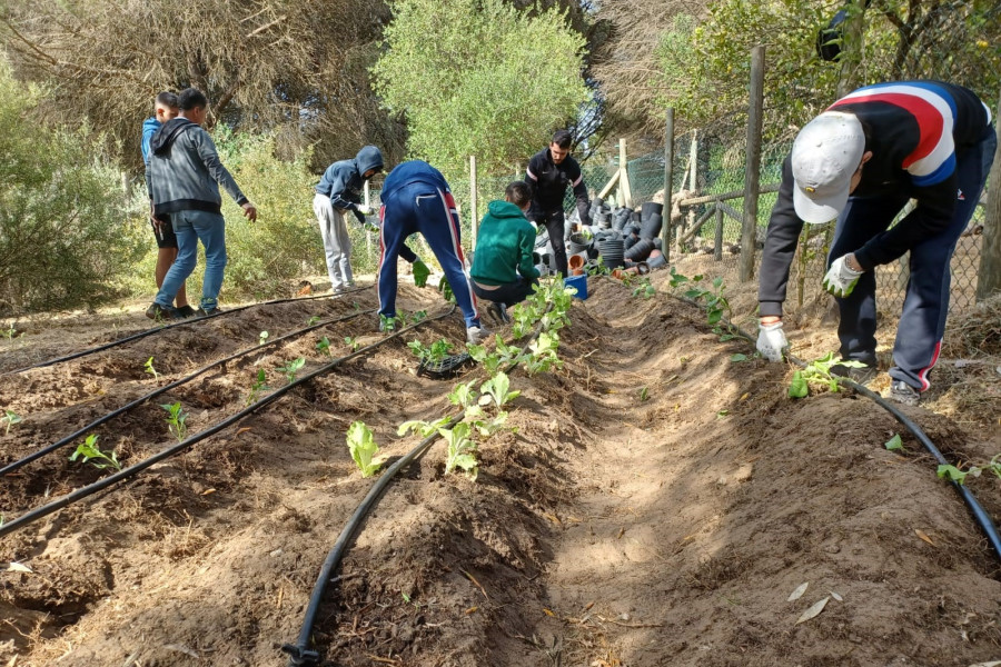 Los jóvenes practican técnicas de cultivo en una parcela