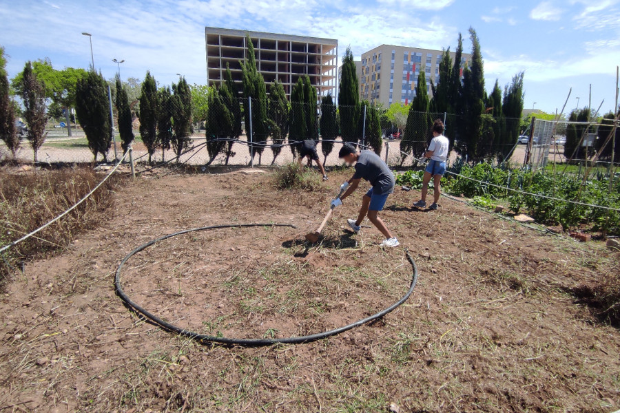 Los jóvenes terminan de limpiar el terreno