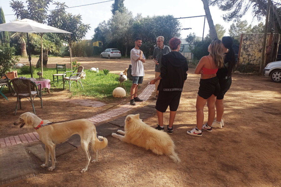 Los jóvenes junto a dos de los perros que cuidan