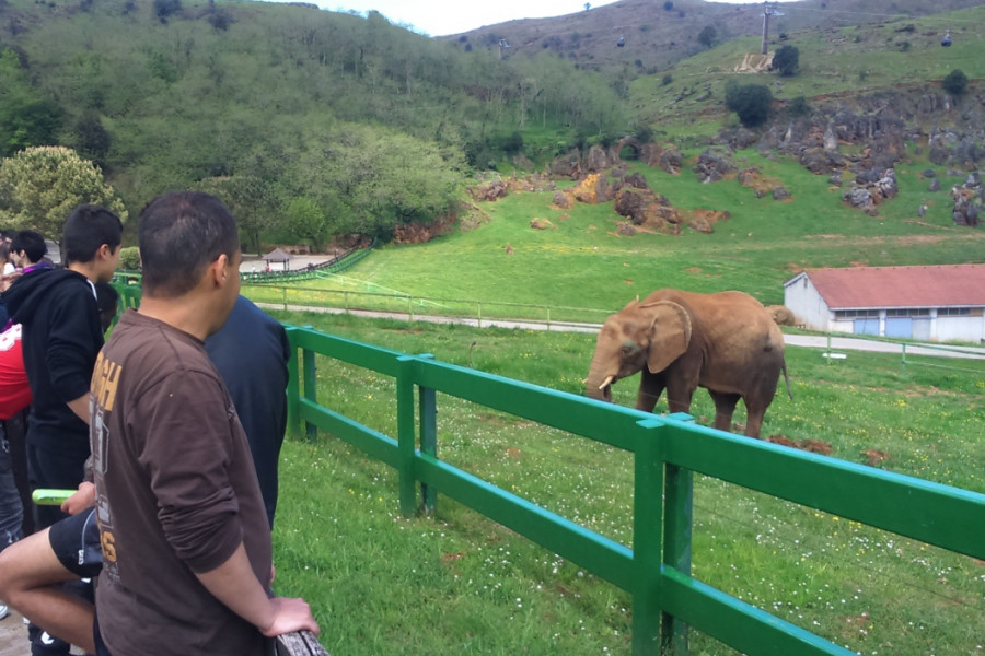 Visita de menores de 'El Acebo' al Parque Cabárceno. Fundación Diagrama.