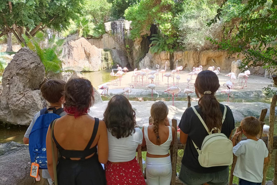 Varios chicos y chicas de Plana Baixa observan el estanque de los flamencos